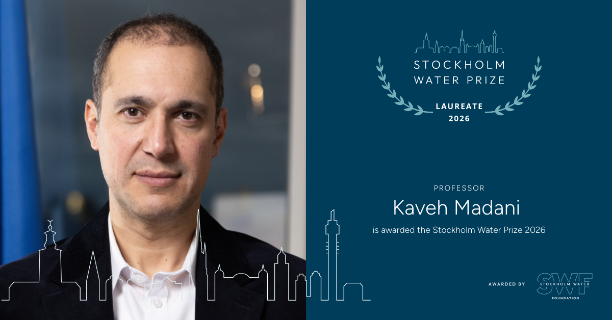 Kaveh Madani